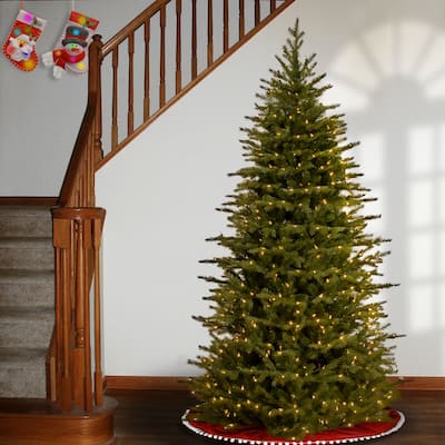 National Tree Company 6.5 ft. Nordic Spruce Slim Tree with Clear Lights