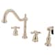 Option Polished Nickel