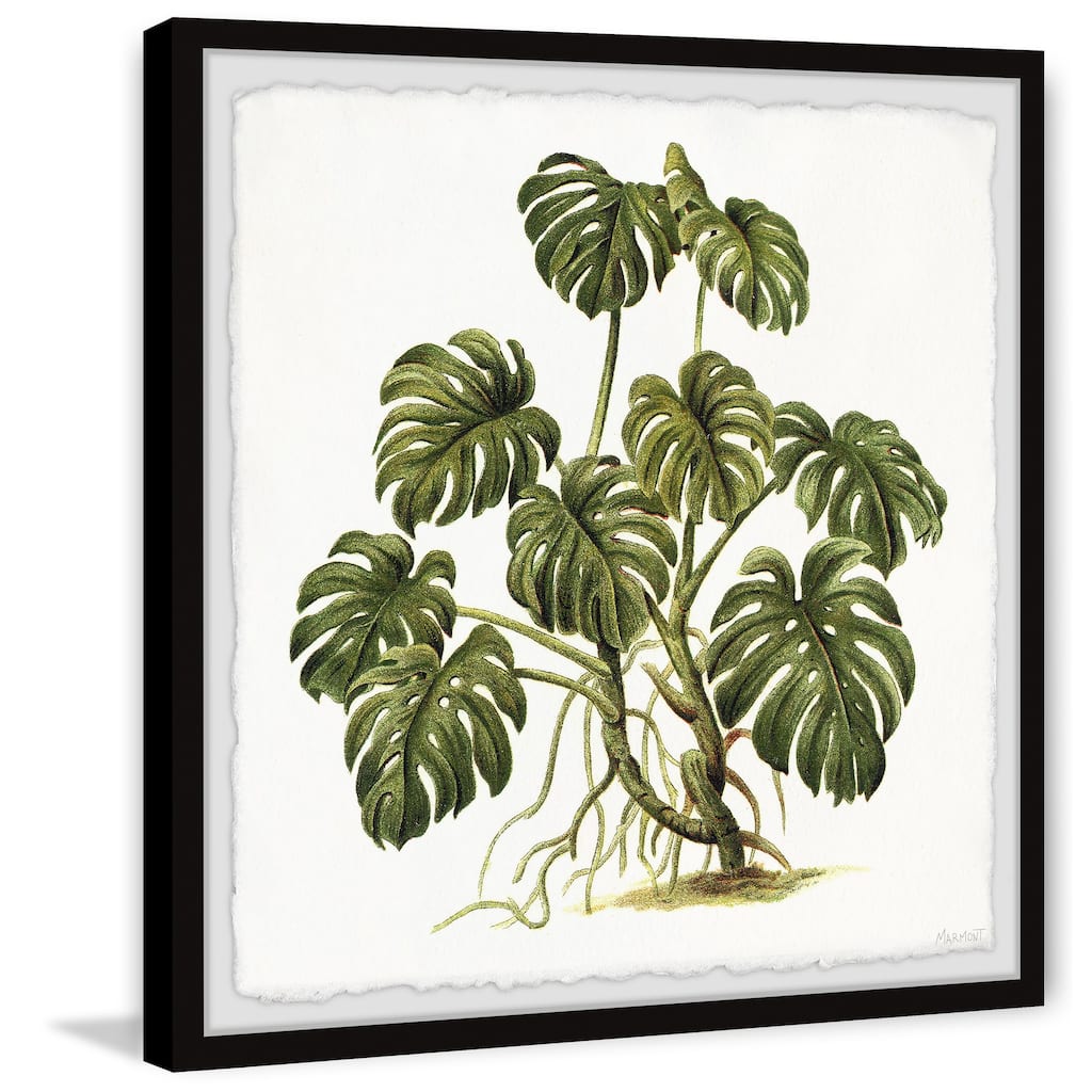 Exotic Palms Framed Print
