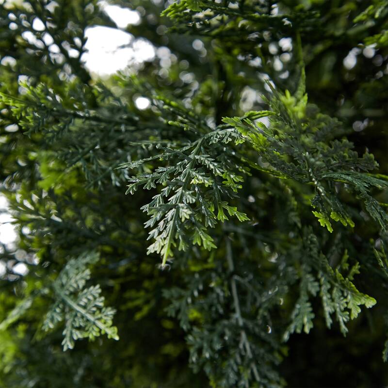 5-Foot Potted Artificial Cedar Topiary Trees