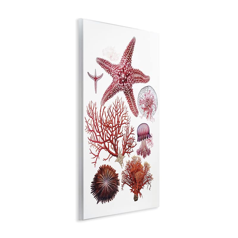 Stupell Rosy Undersea Creatures Wall Plaque Art Design By Ramona Murdock