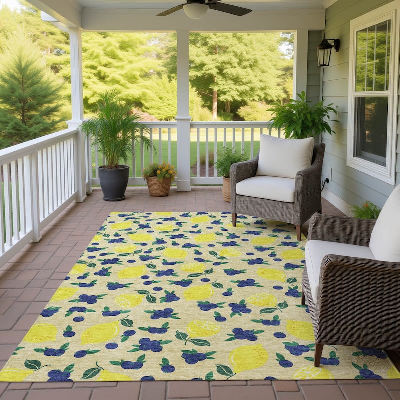 Machine Washable Indoor/ Outdoor Citrus Berry Chantille Rug