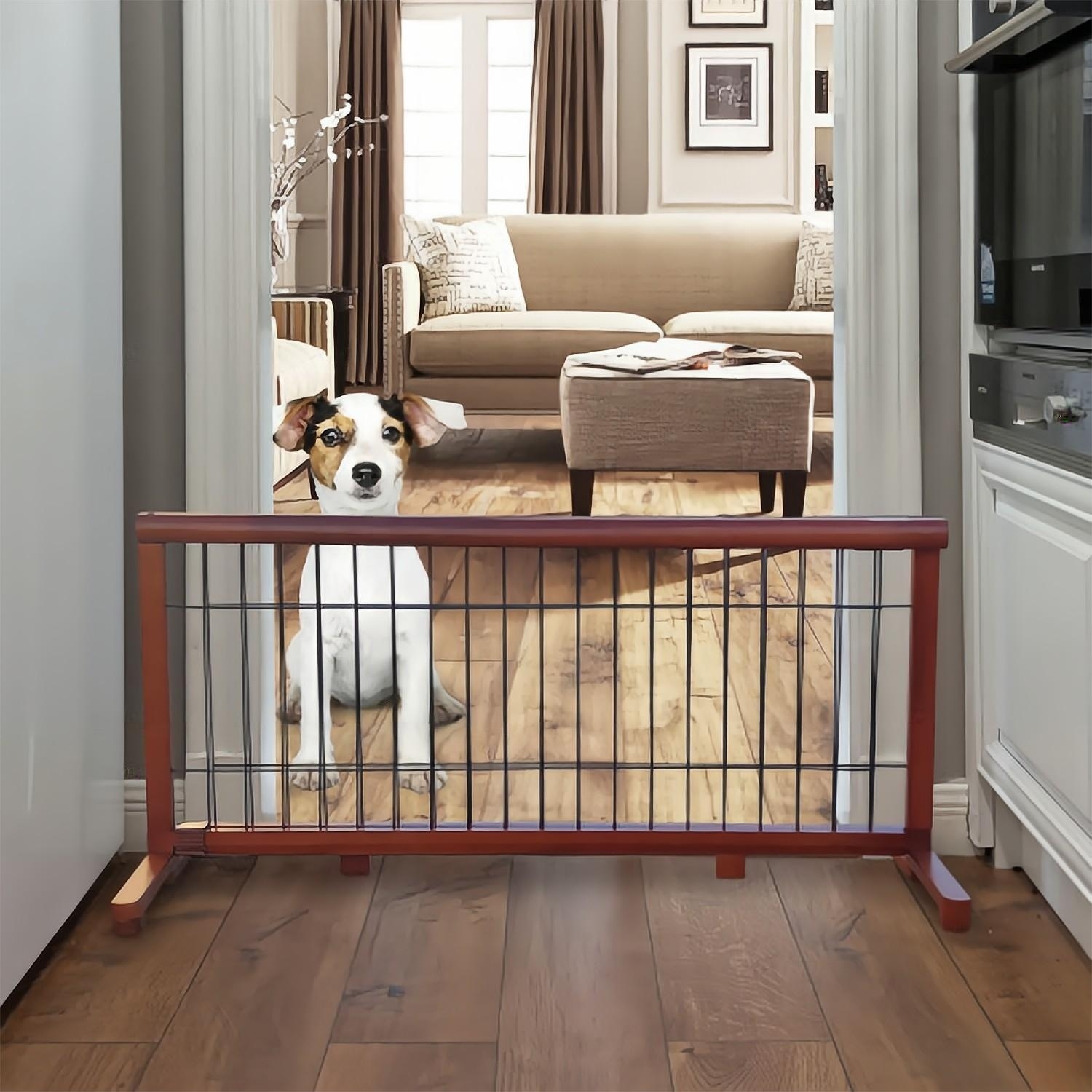 Standing pet cheap gate