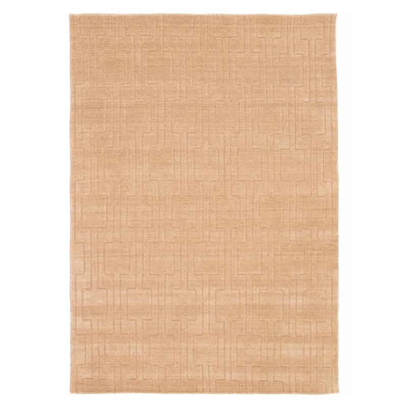 Kashkuli Gabbeh Tan Rug 5'4" x 7'6" - 5'4 x 7'6 - Tan - 5'4 x 7'6