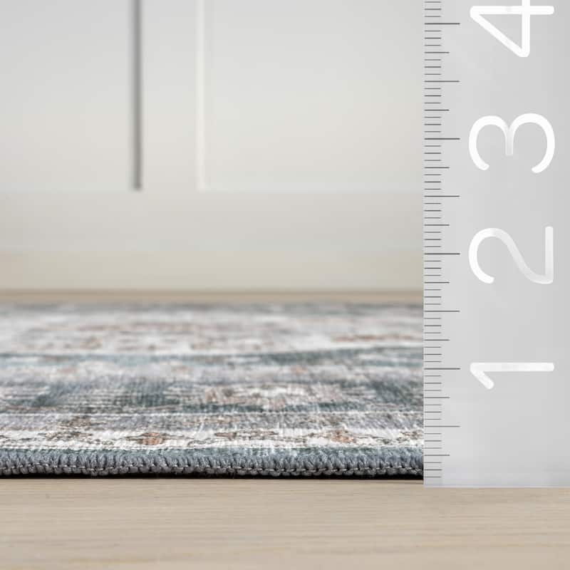 Nuloom Delisa Vintage Stain-Resistant Machine Washable Area Rug