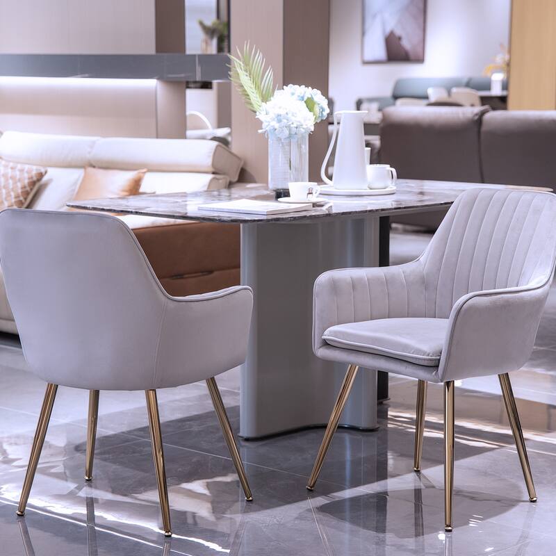 Velvet Dining Chair Set of 2 - Modern Mid-Back Accent Chairs with Gold Plated Legs - Upholstered for Living Room (Set of 2)