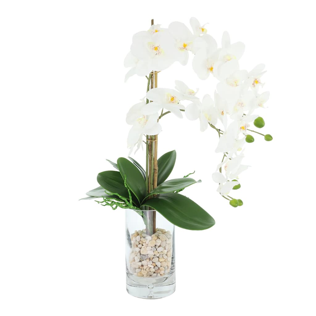 Orchids Arranged in Glass Vase with Rocks - 25