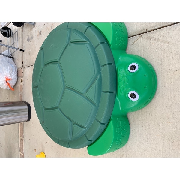 tiny turtle sandbox