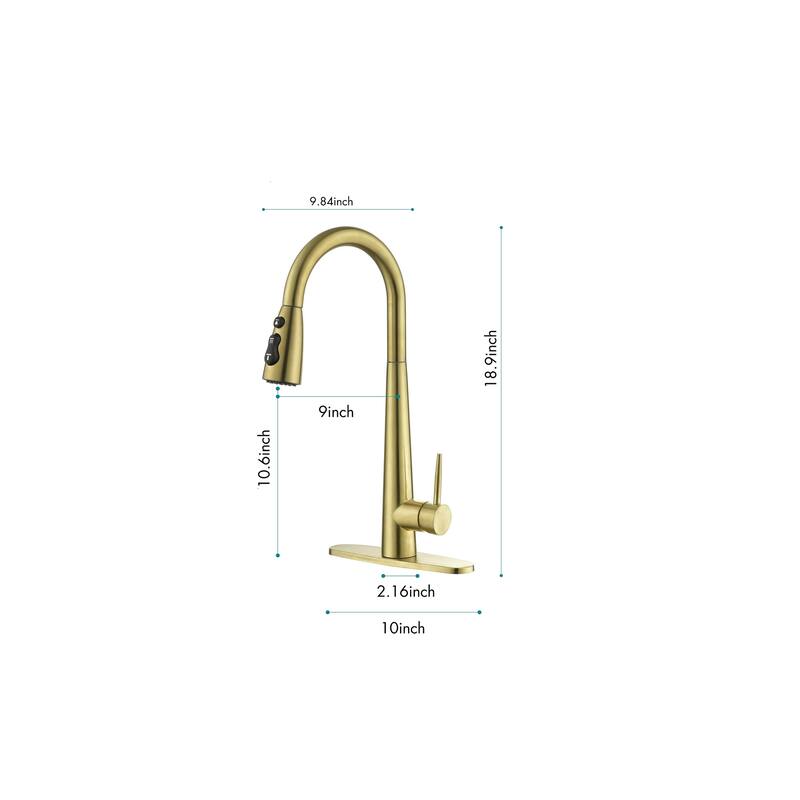 Single Handle Kitchen Sink Faucet with Pull Down Sprayer