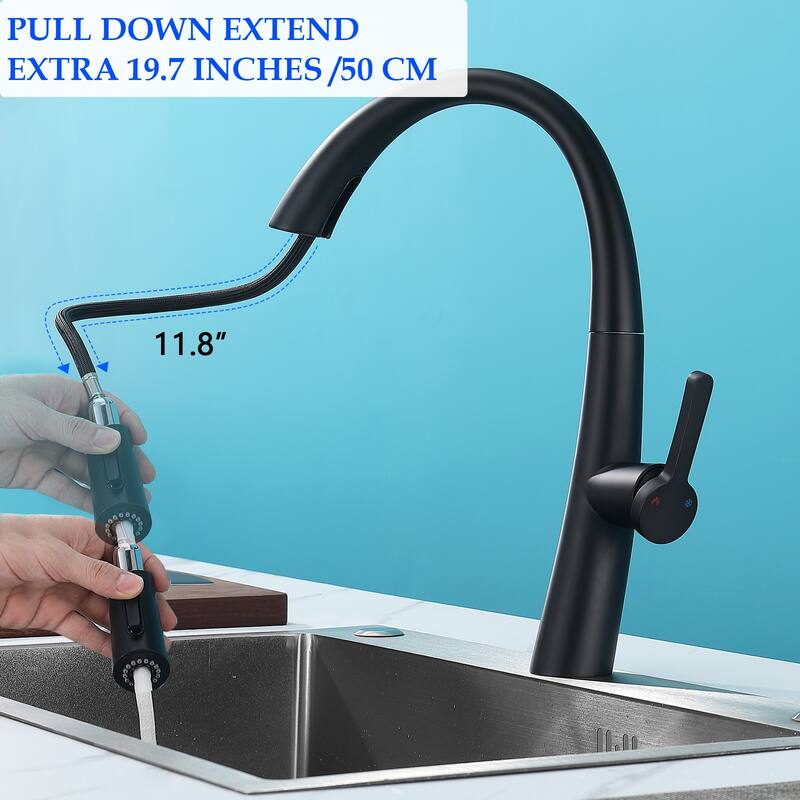 Single Handle Stainless Steel Pull Out Kitchen Faucet