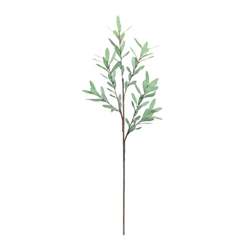 Olive Leaf Twig Branch (Set of 2) - Green