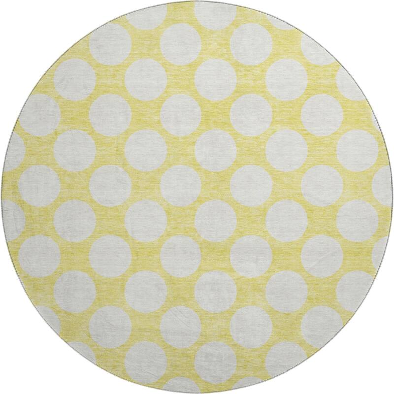 Premium Washable Super Soft Modern Polka Dots Mayfield Rug