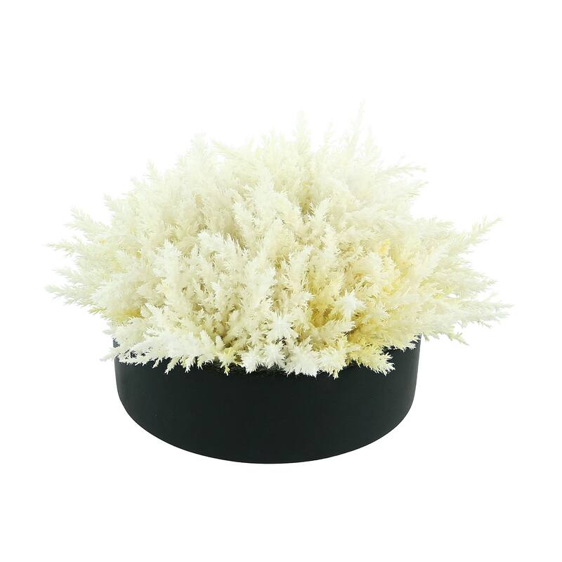 Pampas Grass in Round Fiberstone Planter - White, Black