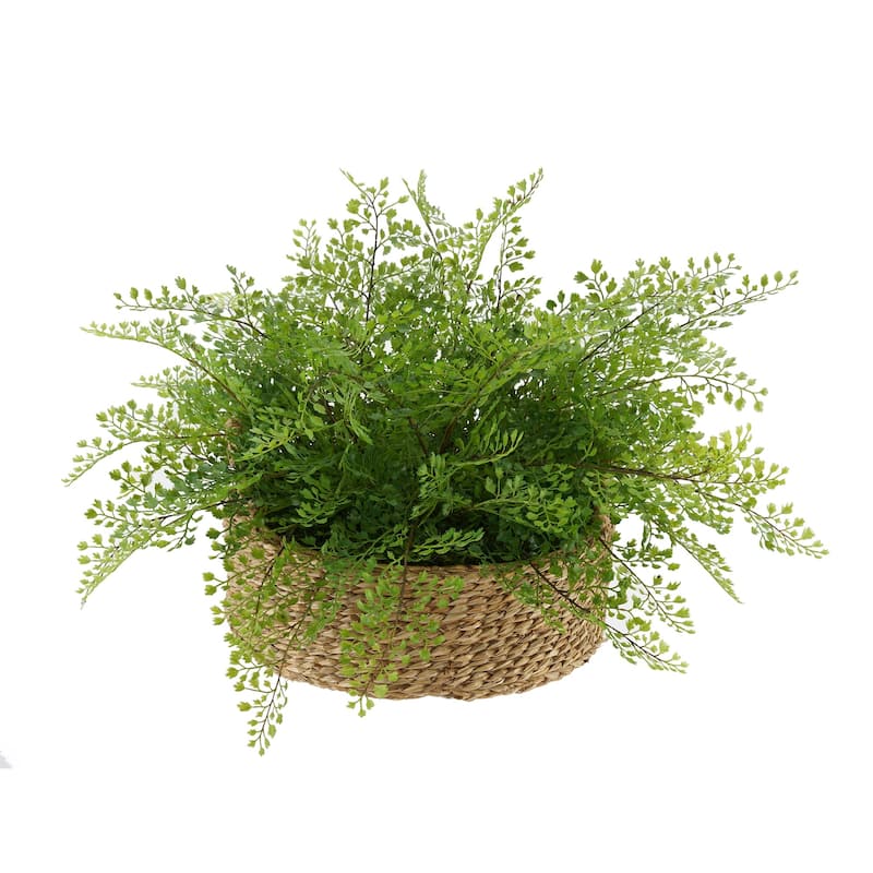Faux Maidenhair Fern in Seagrass Tray Basket - Natural