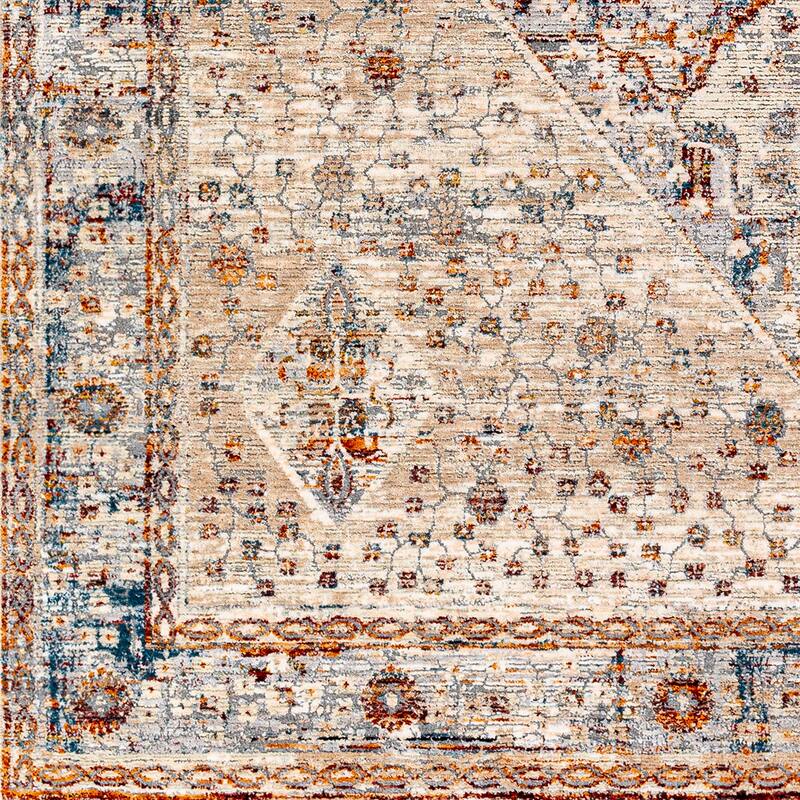 Artistic Weavers Seren Vintage Distressed Area Rug