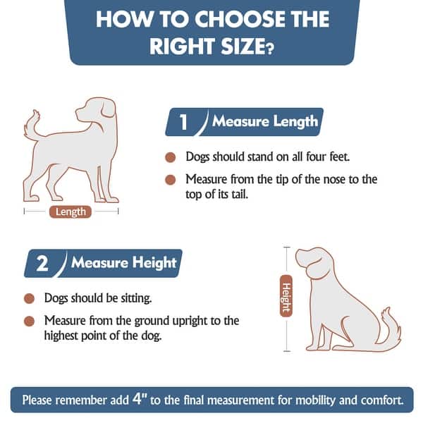How to Measure a Dog for a Crate: Ultimate Guide