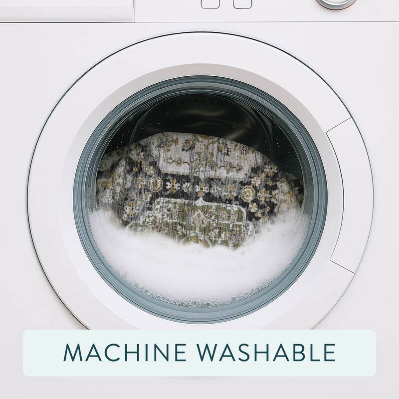 Machine Washable Indoor/ Outdoor Traditional Kiowa Chantille Rug