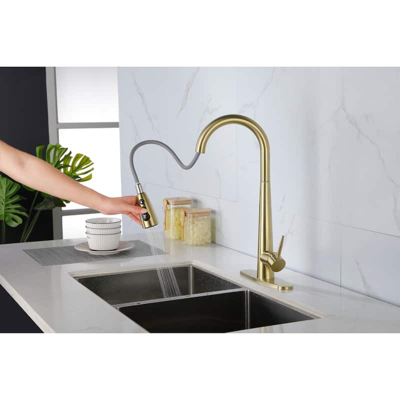Single Handle Stainless Steel Kitchen Sink Faucet with Pull Down Sprayer