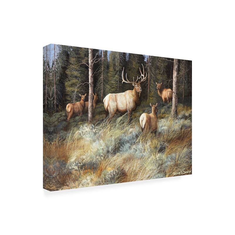 Trevor V. Swanson 'Moving In To Cover' Canvas Art Bed Bath & Beyond