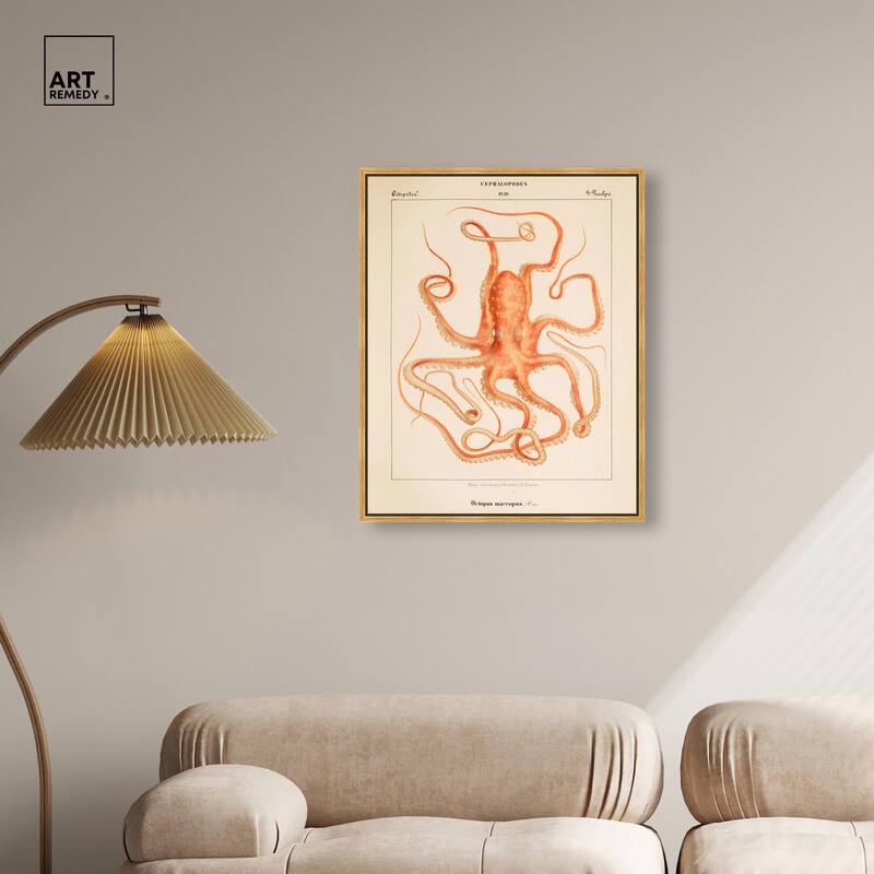 Verany The Octopus 1815 I Canvas by Art Remedy