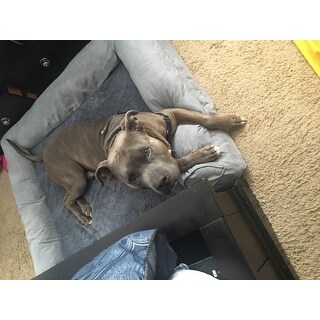 furhaven plush & suede sofa-style orthopedic bolster pet bed furhaven plush & suede sofa-style orthopedic bolster pet bed