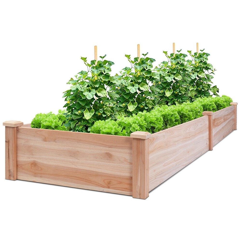 Set of 2 Red Oval Indoor Plant Pot Covers Planters Herb Troughs Windowsill Boxes