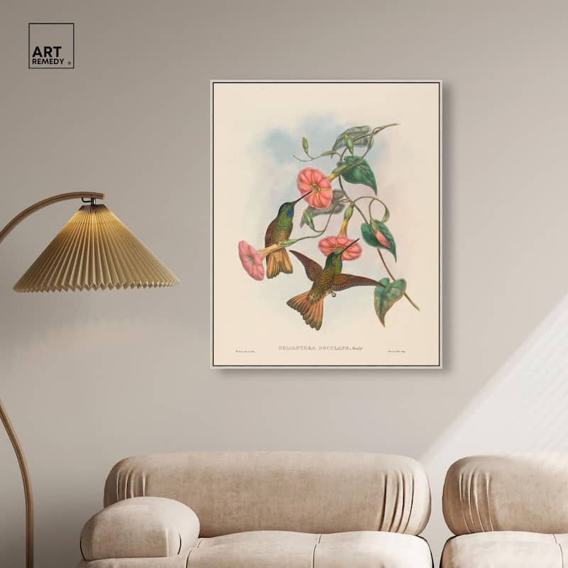 Gould's Hummingbirds Canvas by Art Remedy