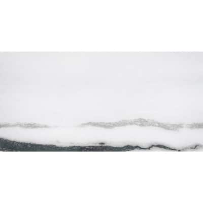Penthouse 12x24 Polished Porcelain Tile - Floor, Wall - Large Format
