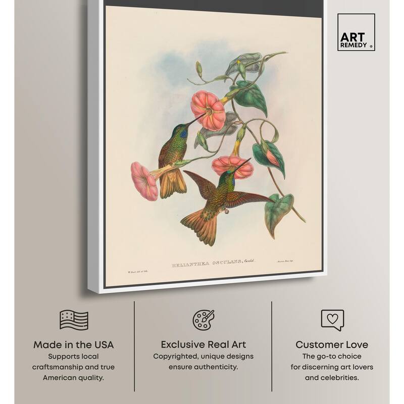 Gould's Hummingbirds Canvas by Art Remedy
