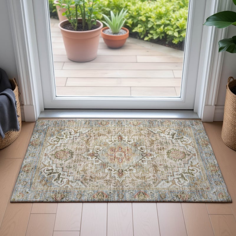 Machine Washable Indoor/Outdoor Traditional Vintage Chantille Rug
