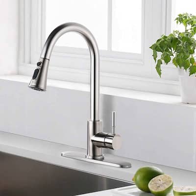 Single Handle Pull Down Sprayer Kitchen Sink Faucet with Escutcheon