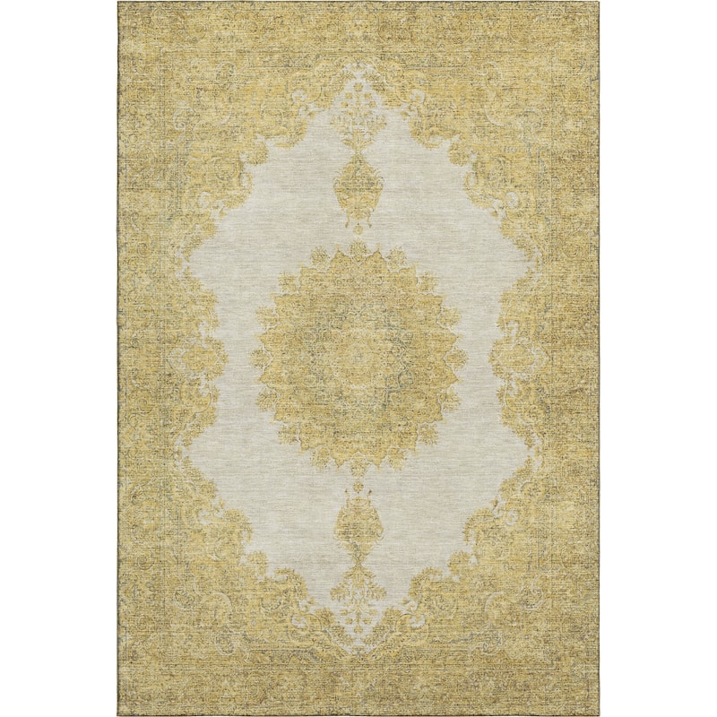 Premium Washable Super Soft Vintage Traditional Mayfield Rug