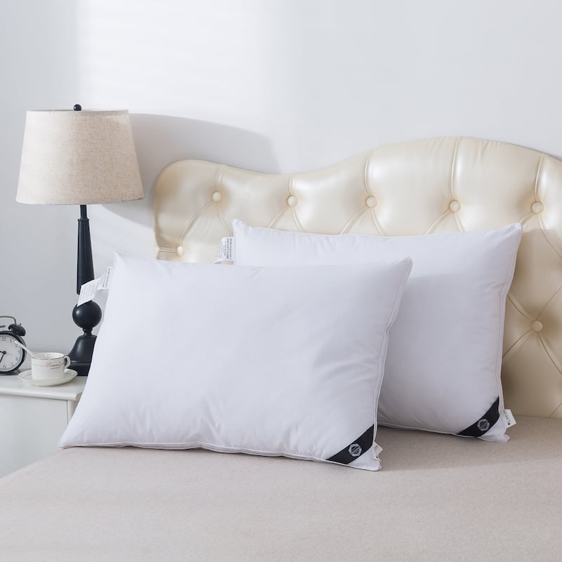 Twin Pack Charcoal Infused Down Alternative Pillow - White
