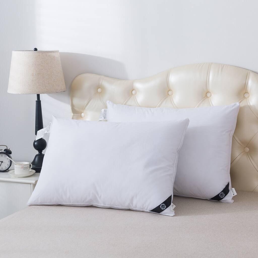 Twin Pack Charcoal Infused Down Alternative Pillow - White