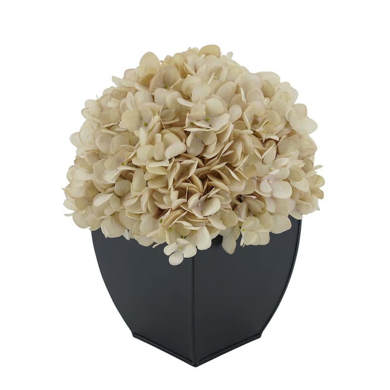 Faux Hydrangea in Black Tapered Zinc Cube - Antique Ecru