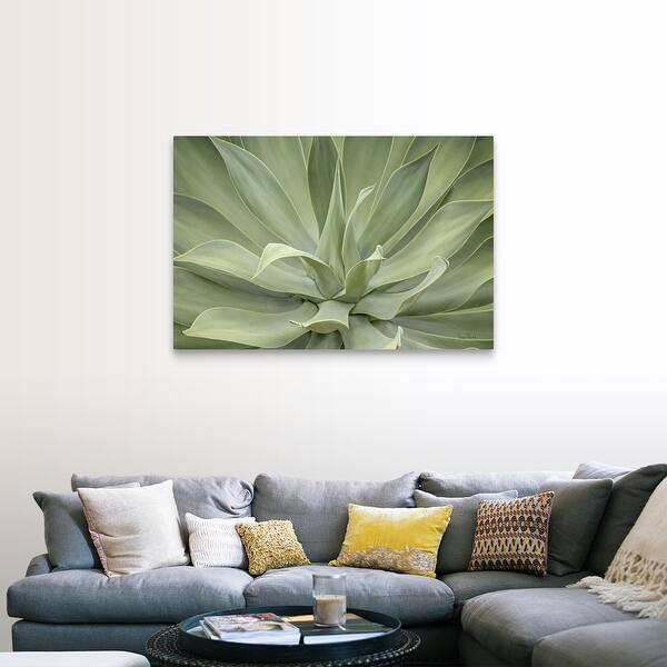 Shop Elegant Agave Canvas Wall Art Overstock 21002568