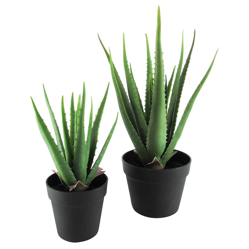 13.5in Artificial Real Touch Soft Aloe Succulent Plant in Black Pot - 13.5" H x 9" W x 9" DP