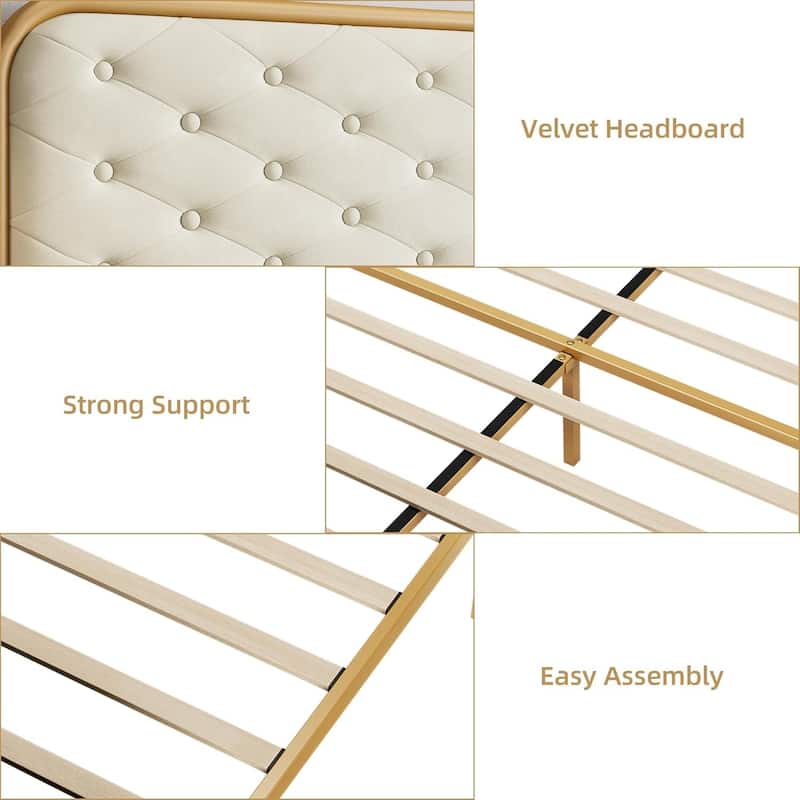 Velvet King Bed Frame with Golden Base, Curved Button Tufted Headboard, Sturdy Wood Slats, Noise-Free Platform