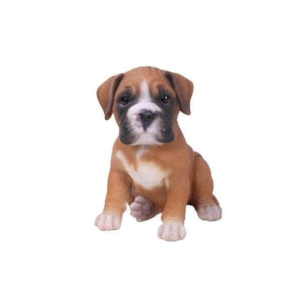 cute boxer puppies for sale
