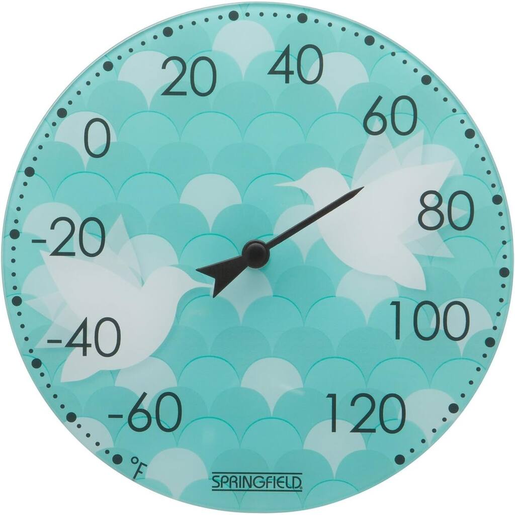 Springfield Hummingbird in Motion Glass Thermometer - 11.25"