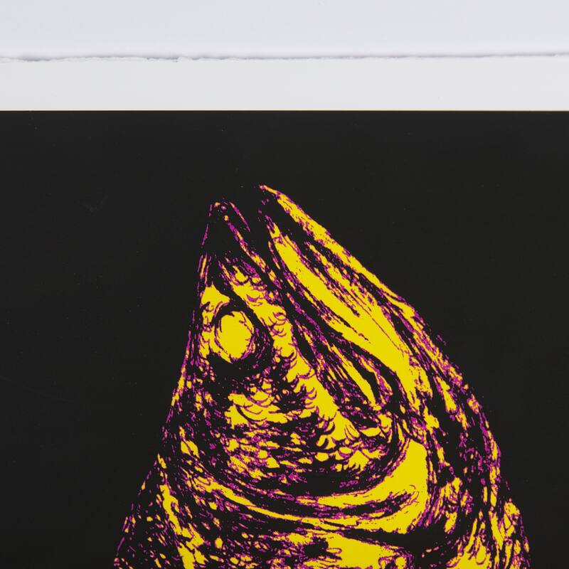 Largemouth Bass Print 4 in 1 Framed Art Print