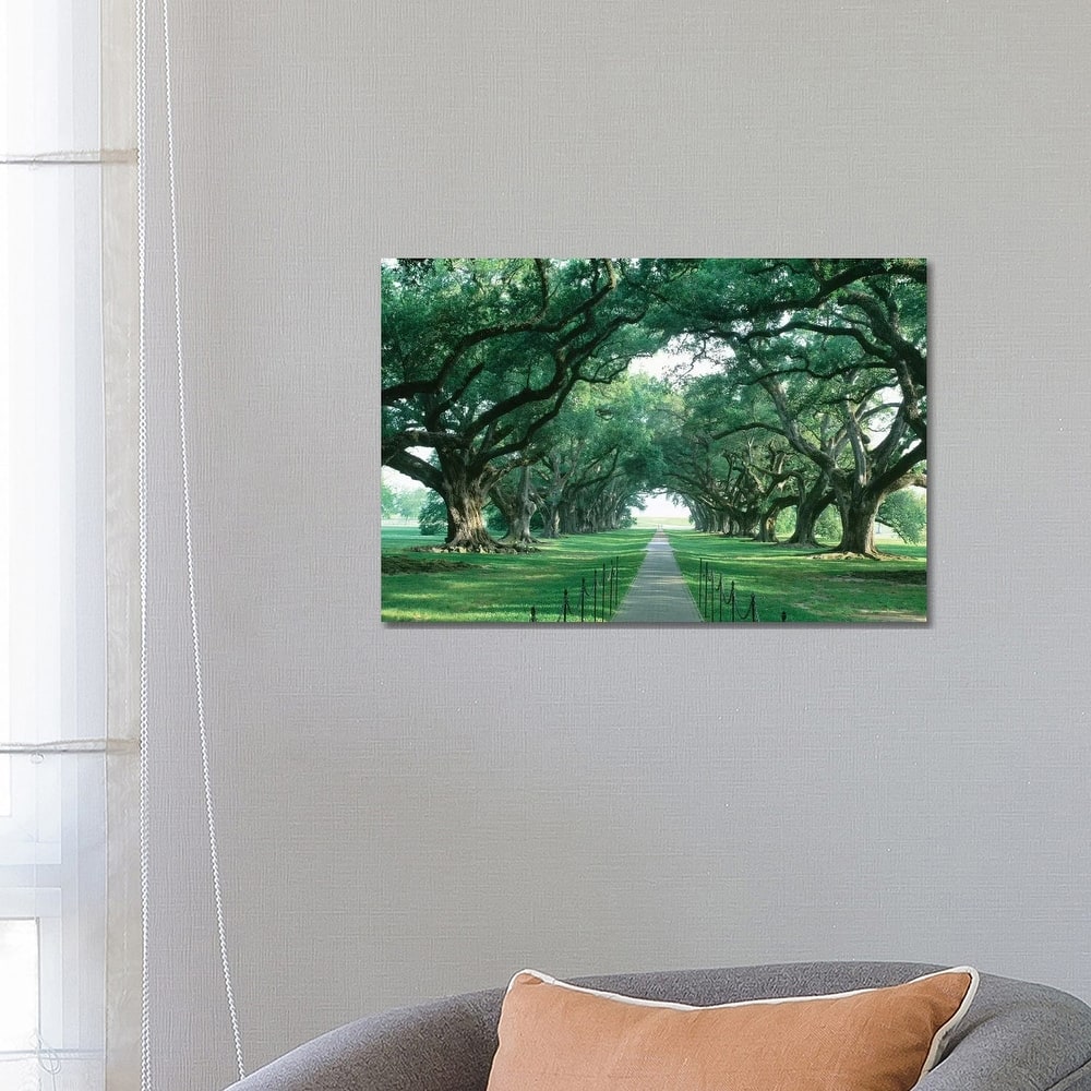 iCanvas "Brick Path Through Alley Of Oak Trees, Louisiana, New Orleans, USA" by Panoramic Images Canvas Print