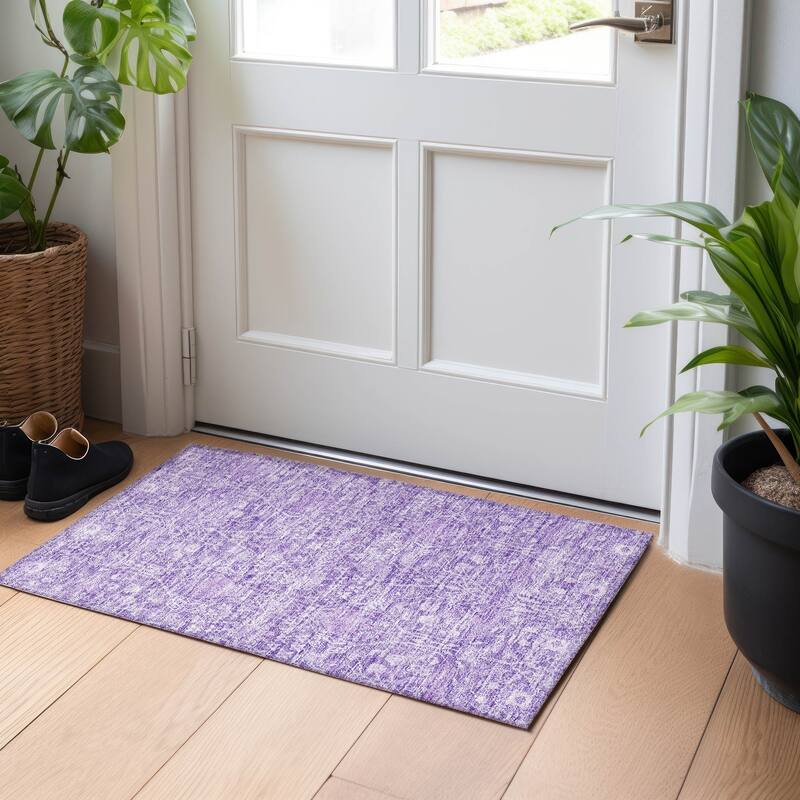Machine Washable Indoor/ Outdoor Vintage Boho Chantille Rug - Plum - 1'8" x 2'6"
