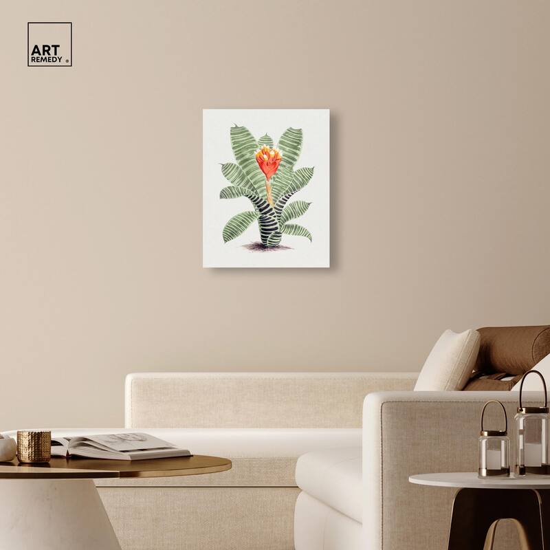 Tillandsia Musaica Plant Canvas by Art Remedy, Gallery Wrapped