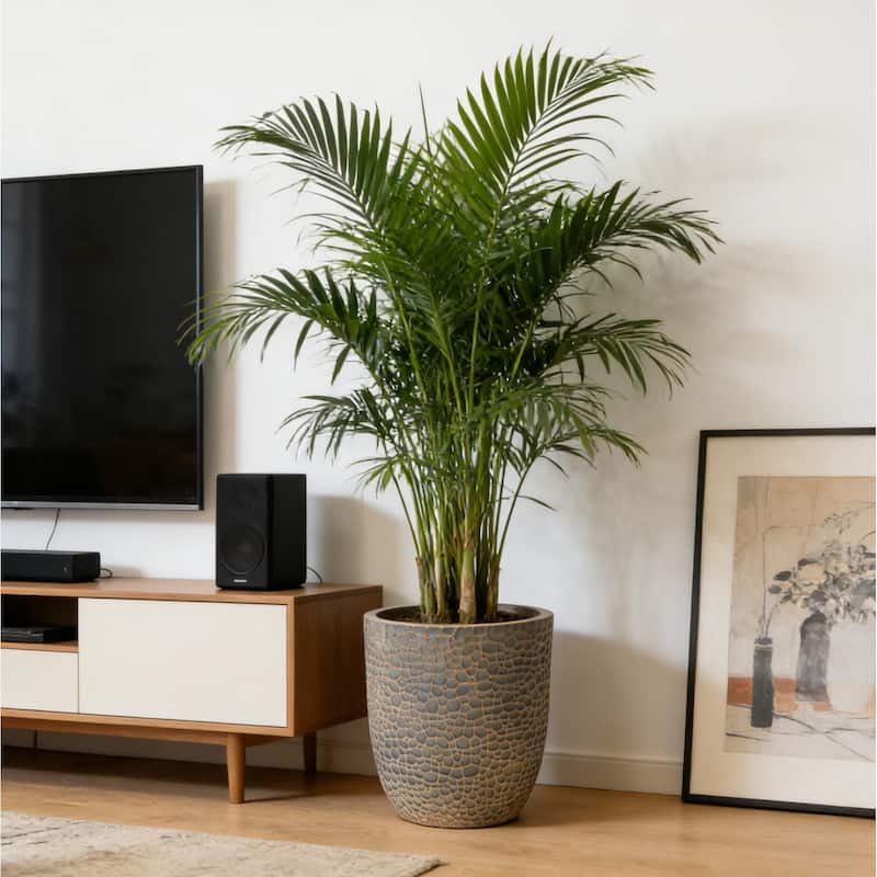 Large Outdoor Indoor Planter, 15.75"+11.4"+7.87" Dia Round Magnesium Oxide Planter Set of 3, Flower Pots with Drainage Holes