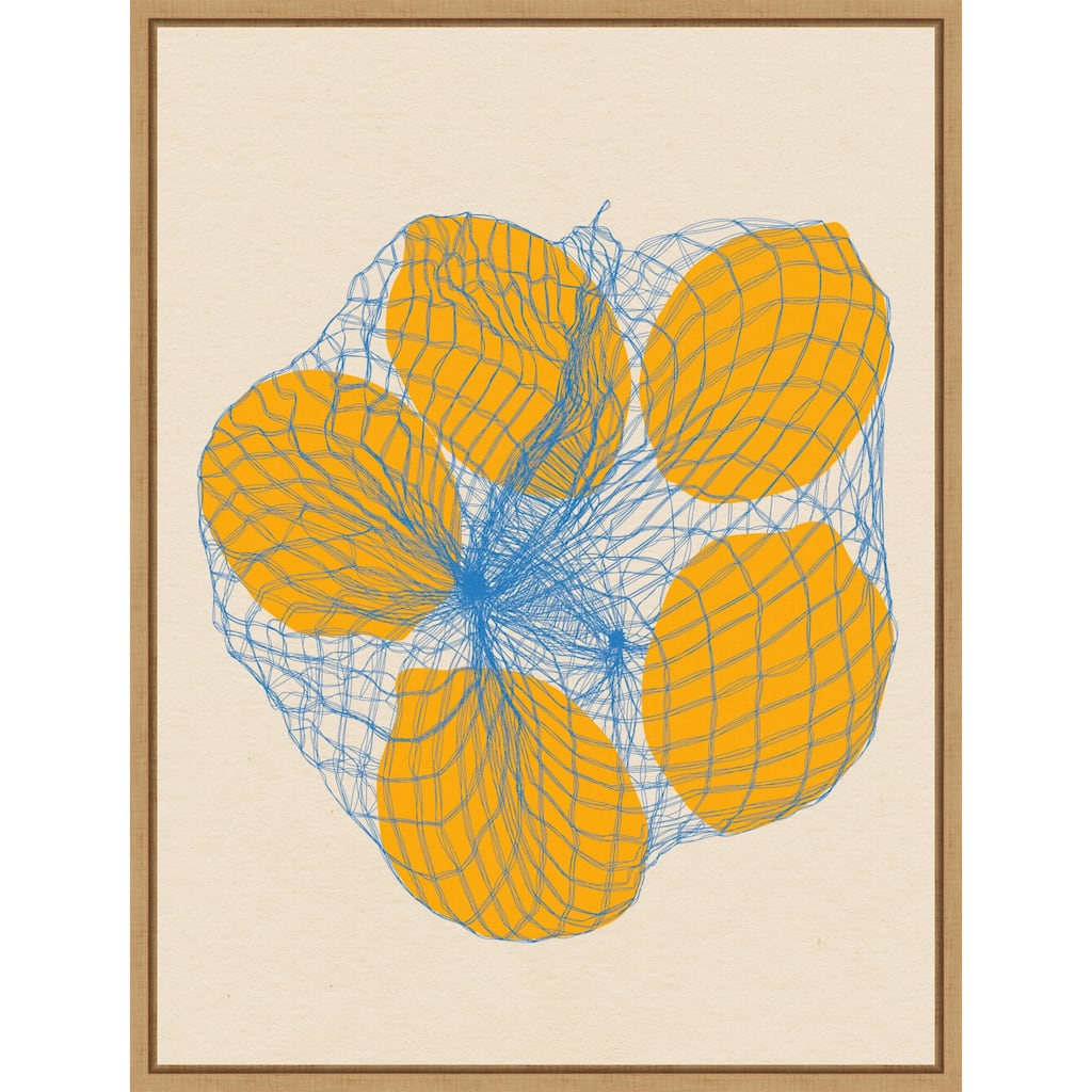 Five Lemons In a Net Bag by Rosi Feist Framed Canvas Wall Art Print