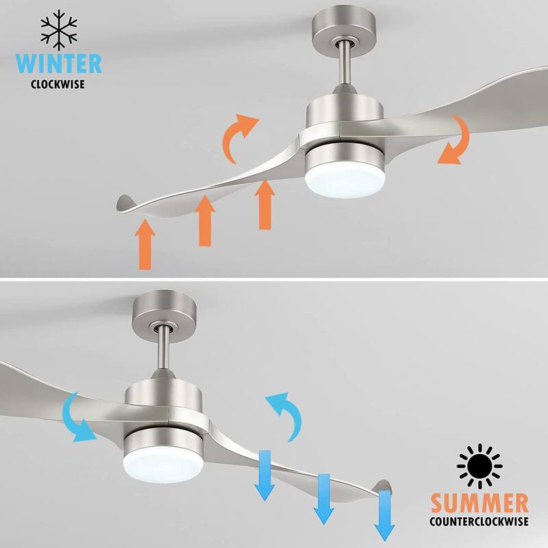 WINGBO 52 inch 2 Blades Modern Ceiling Fan with Lights and Remote - N/A