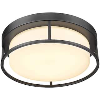 12 inch LED ceiling light black ceiling lamp with frosted glass shade - N/A