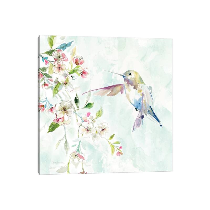 iCanvas "Hummingbird IV" by Carol Robinson Canvas Print