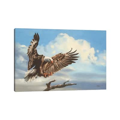 iCanvas "Bald Eagle Landing On Tree Branch" by D. "Rusty" Rust Canvas Print